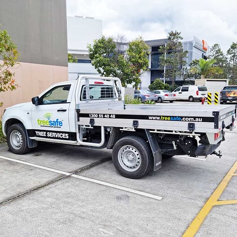 Trays, Toolboxes & Trailers - work ute wrap and ute tray signage by Ziggi's Print & Signs, Loganholme